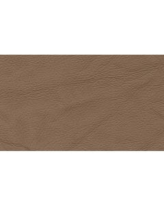 Shelly Ash Free Leather Swatch Sample