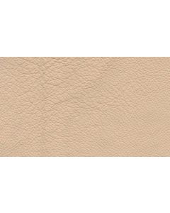 Shelly Beige Free Leather Swatch Sample