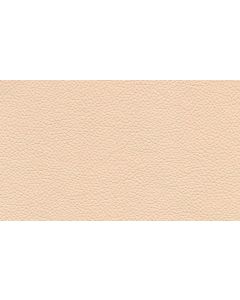 Shelly Cottonseed Free Leather Swatch Sample