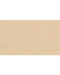 Shelly Cream Free Leather Swatch Sample