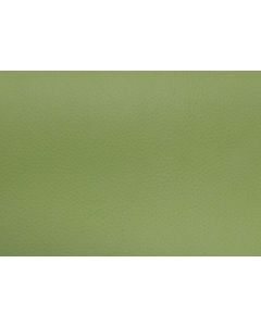 Shelly Field Green Free Leather Swatch Sample