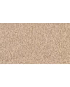 Shelly Ivory Free Leather Swatch Sample