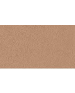 Shelly Panna Free Leather Swatch Sample