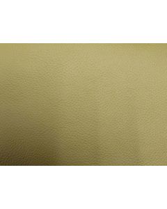 Shelly Parchment Free Leather Swatch Sample