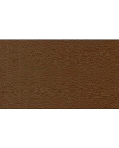 Shelly Sage Free Leather Swatch Sample