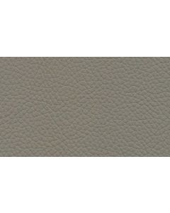 Shelly Silver Birch Free Leather Swatch Sample