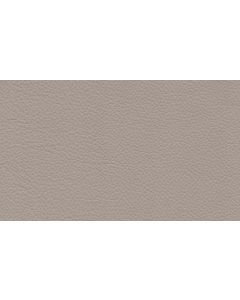 Shelly Silver Grey Free Leather Swatch Sample