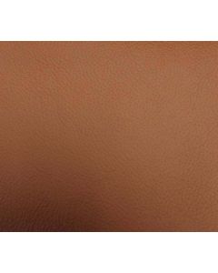 Shelly Spice Free Leather Swatch Sample
