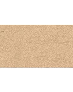 Shelly Stone Free Leather Swatch Sample