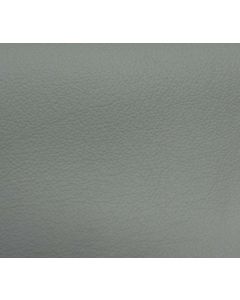 Shelly Thyme Green Free Leather Swatch Sample
