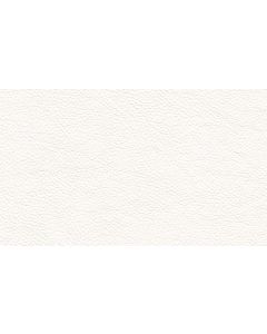 Shelly Winter White Free Leather Swatch Sample